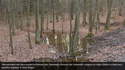 Starkregen Voreiter Langgöns
